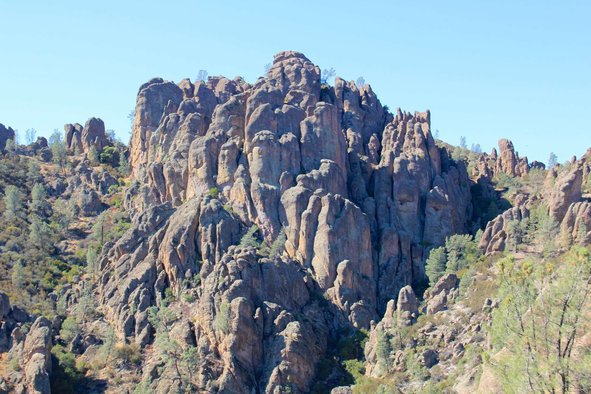 Winter Hikes: Condor Gulch To High Peaks Loop, Pinnacles