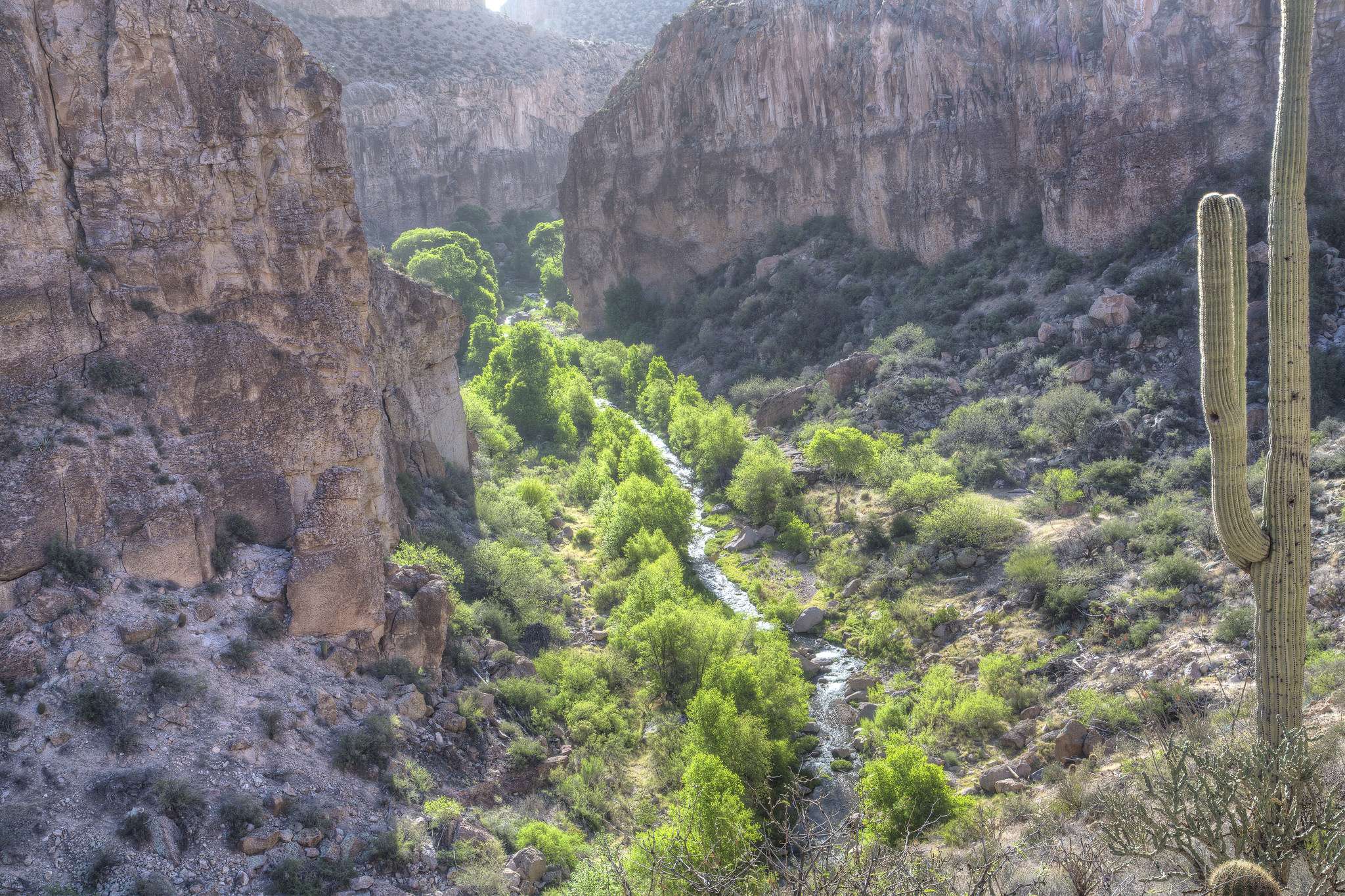 aravaipa canyon trail