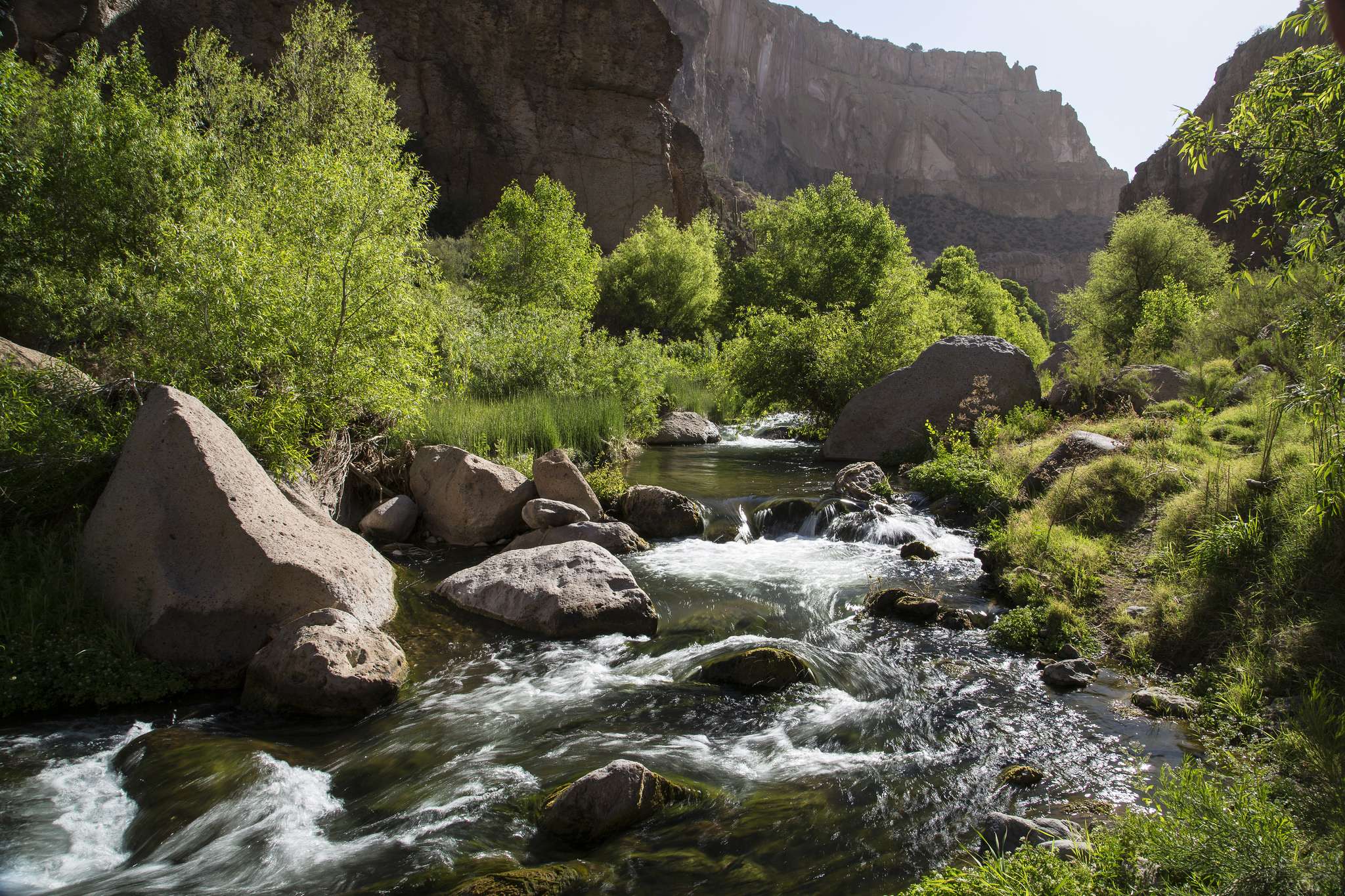 Spring Hikes: Aravaipa Canyon Wilderness In Arizona