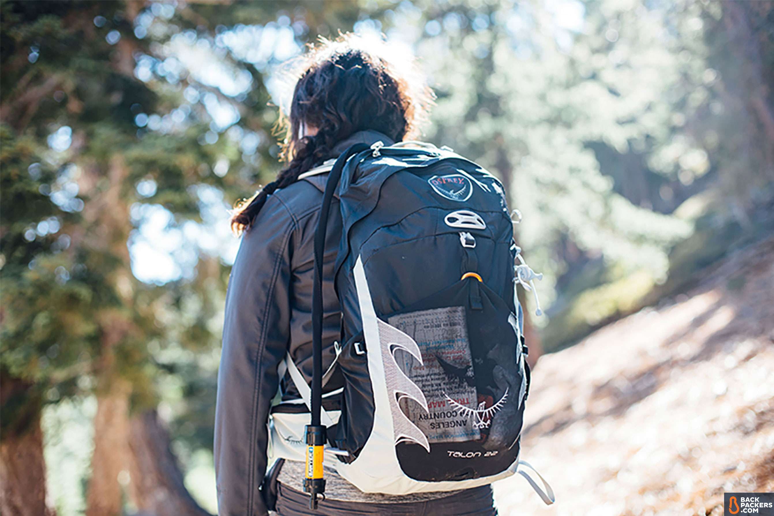 osprey packs talon 22 backpack