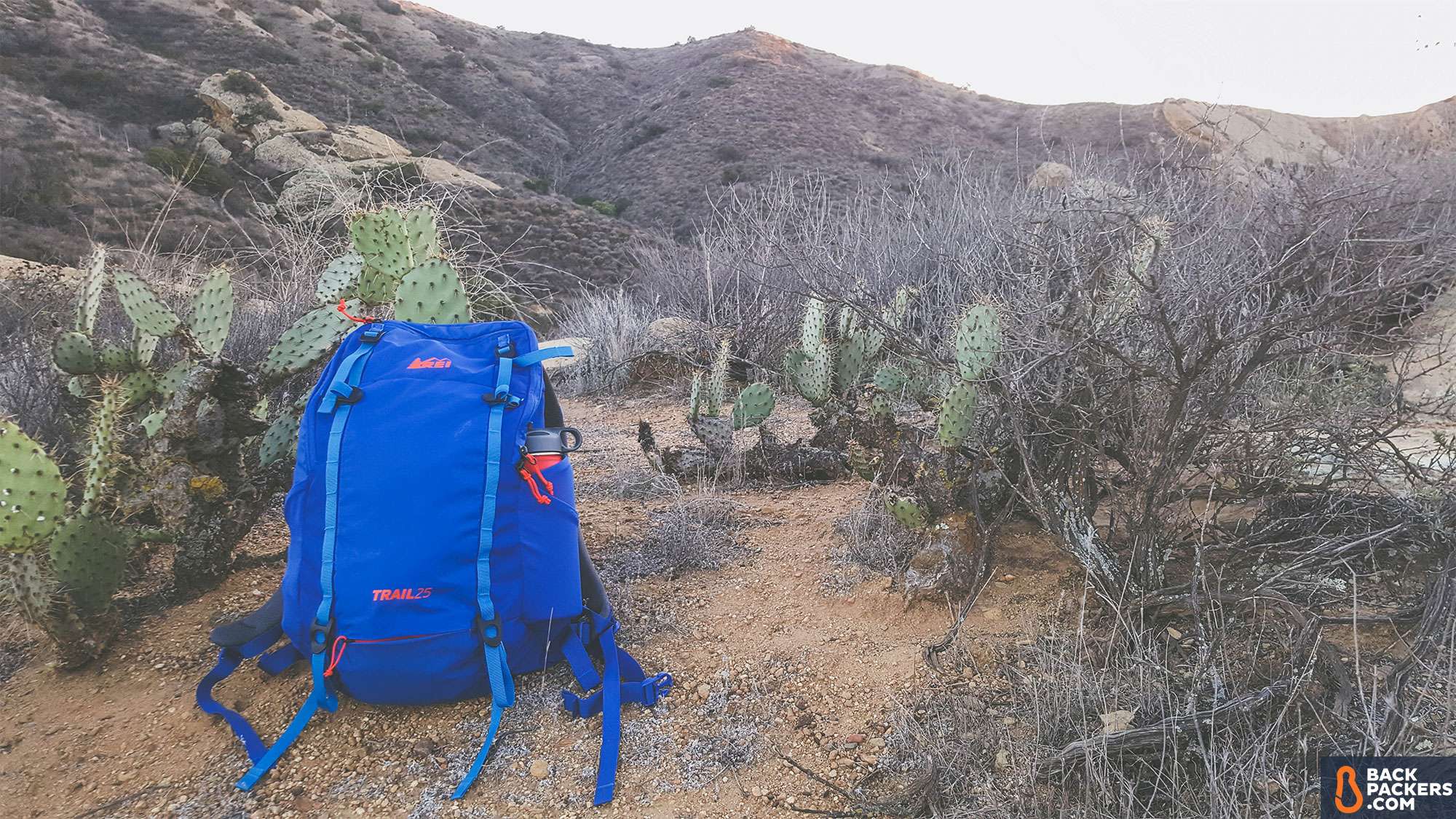 rei trail 25- header image