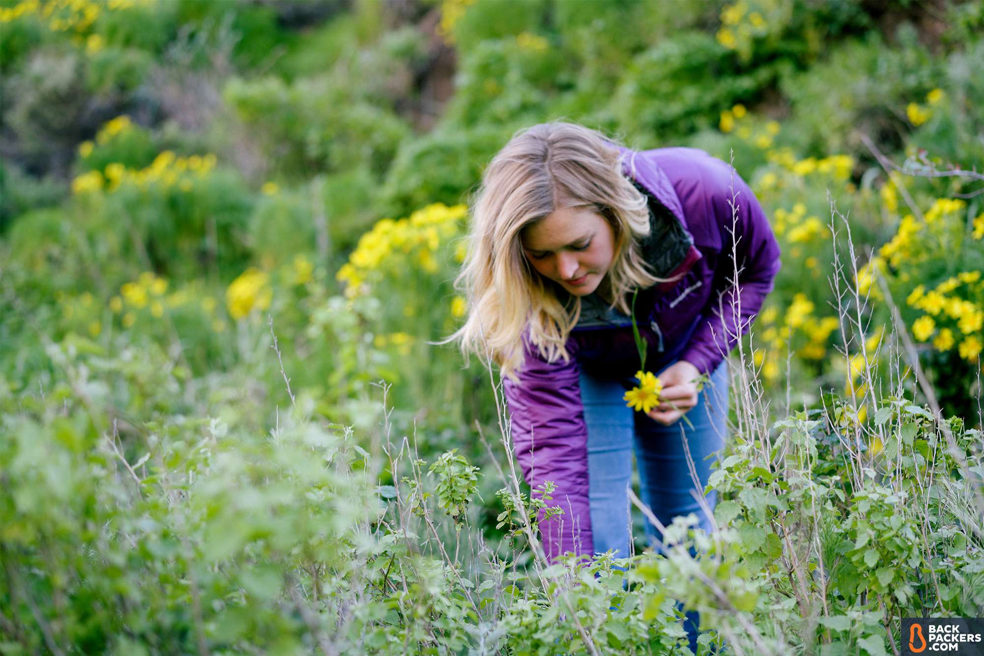 Montbell-ThermaWrap-Pro-picking-flowers