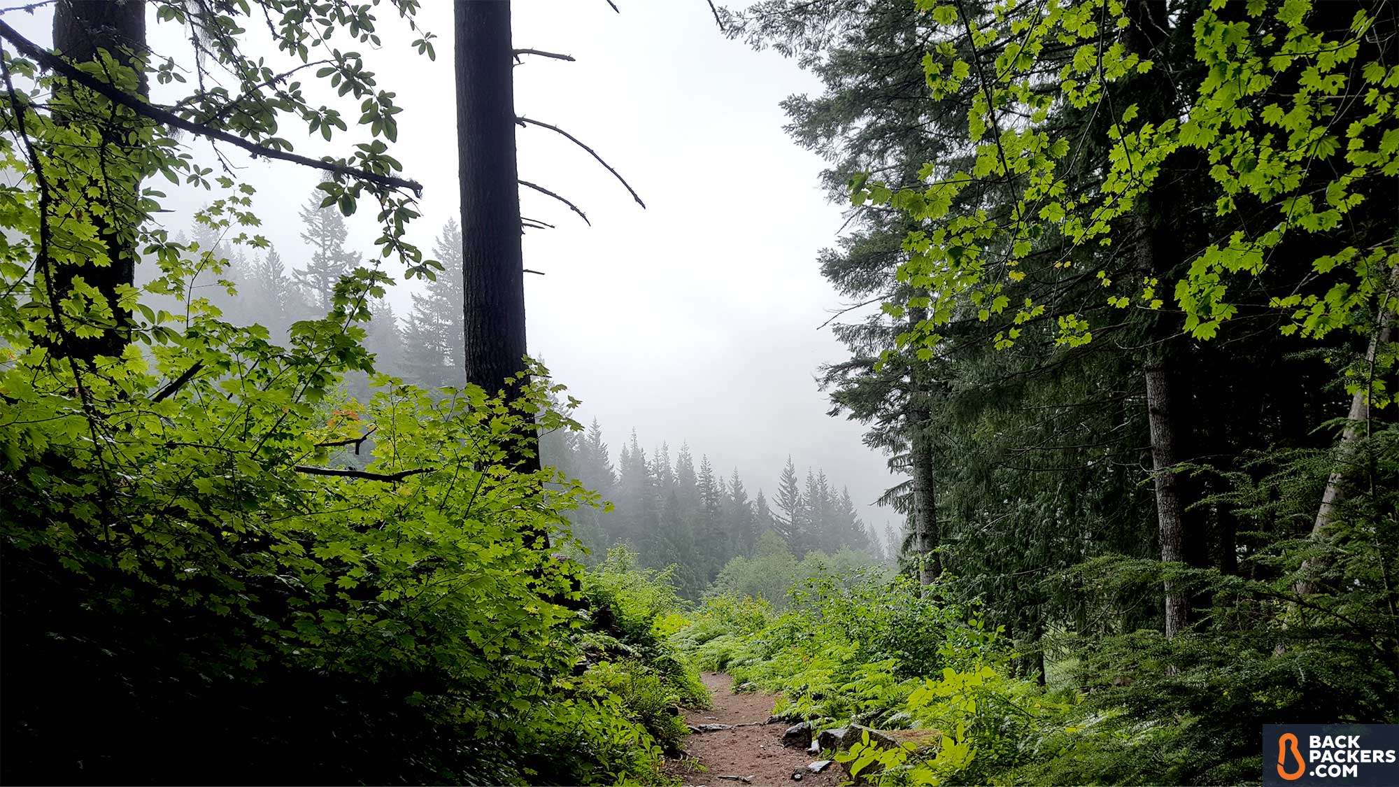 Kelty-Salida-2-review-nature-shot-2