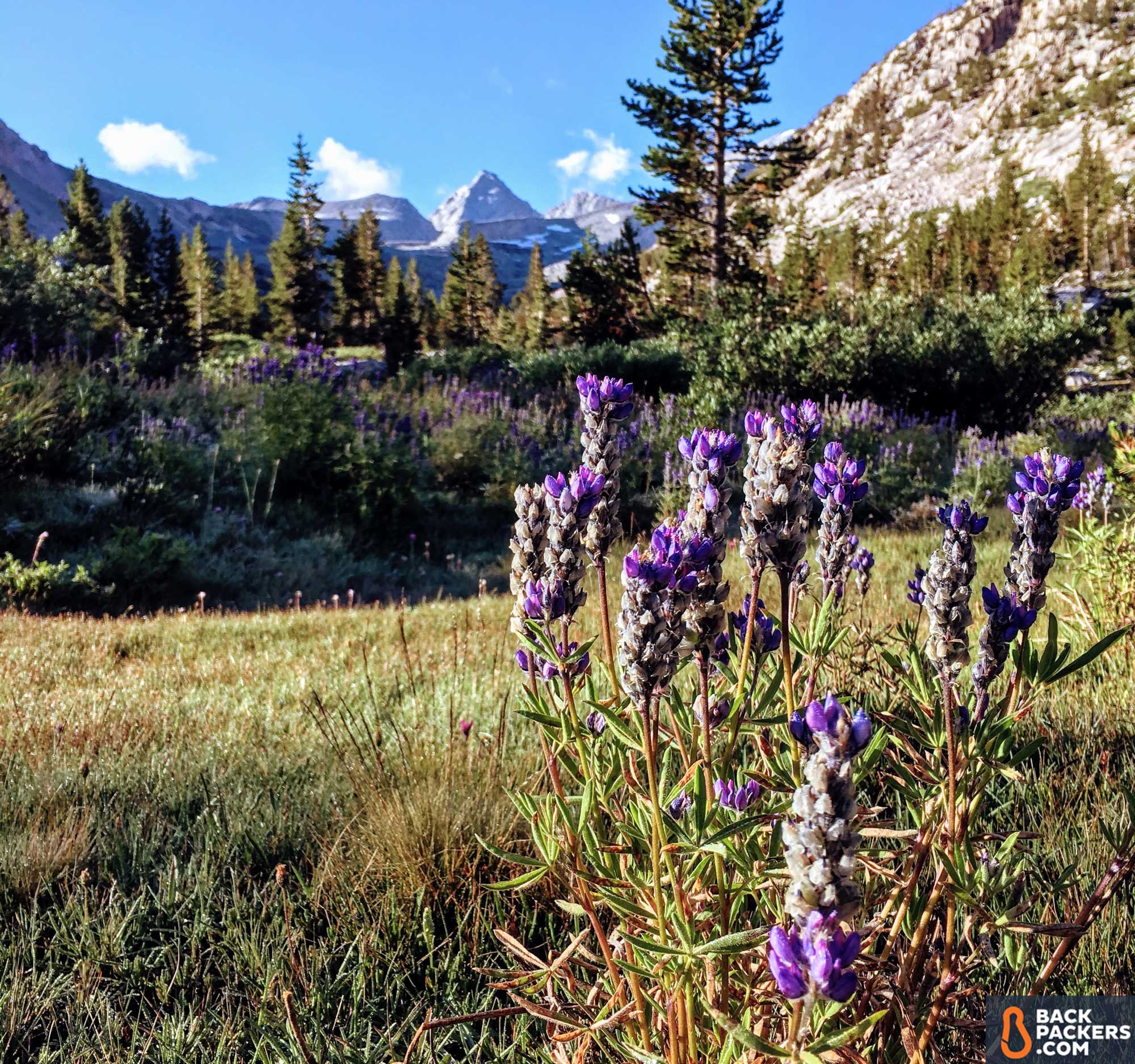 Thru Hiking the John Muir Trail | Maps, Permits, Adventure 14 thru hiking the john muir trail 6