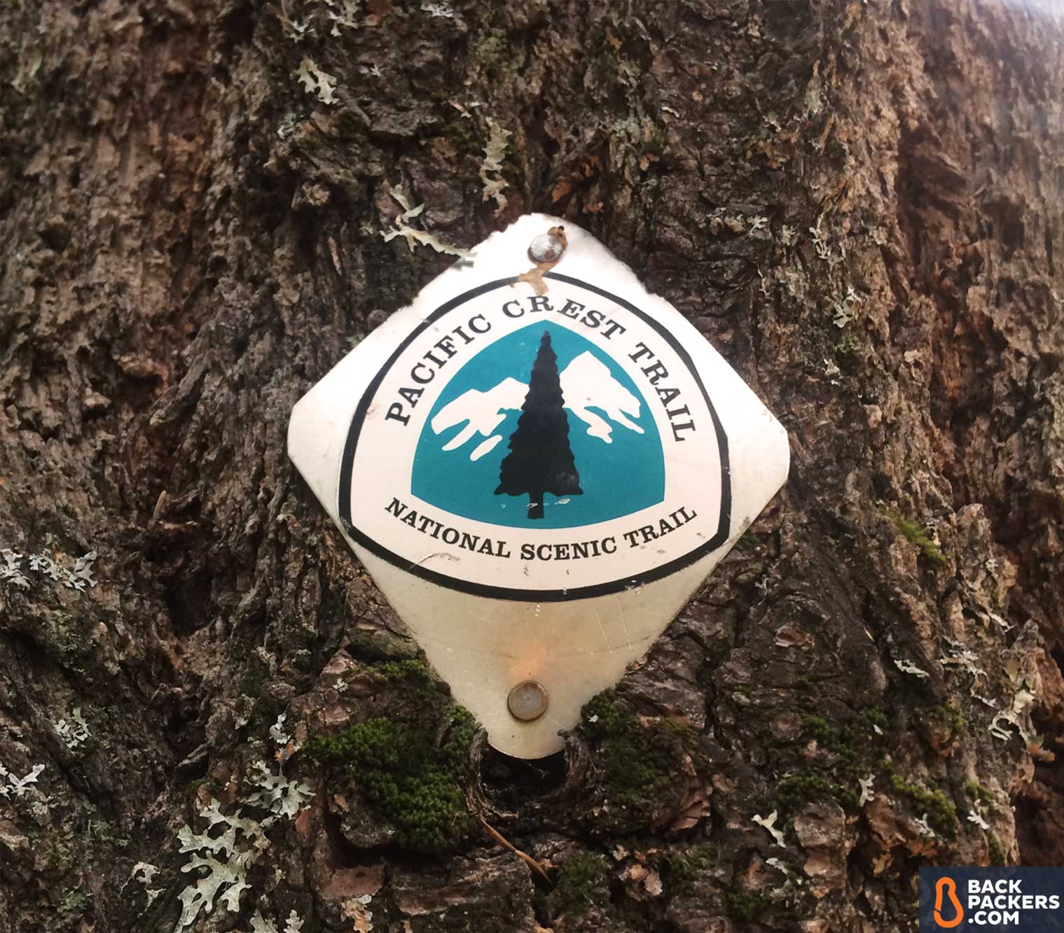 Section Hiking the Pacific Crest Trail Castle Crags to Etna Summit PCT blaze