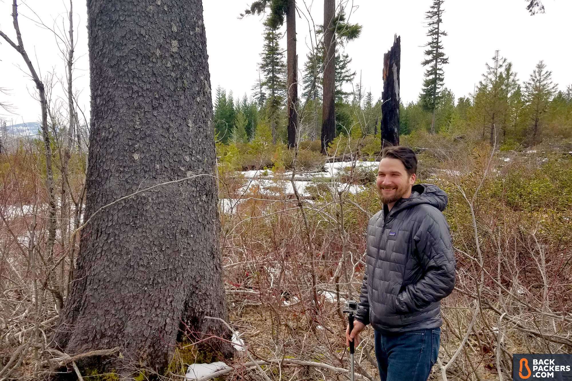 Patagonia-Micro-Puff-Hoody-snow-in-woods