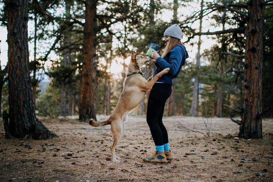 Jiminy’s sustainable Cricket Dog Food and treats @tuckerleo_da_huskies pic