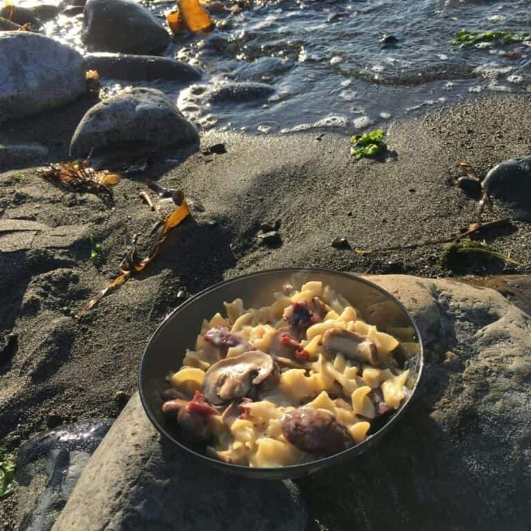 Chef Corso beef stroganoff