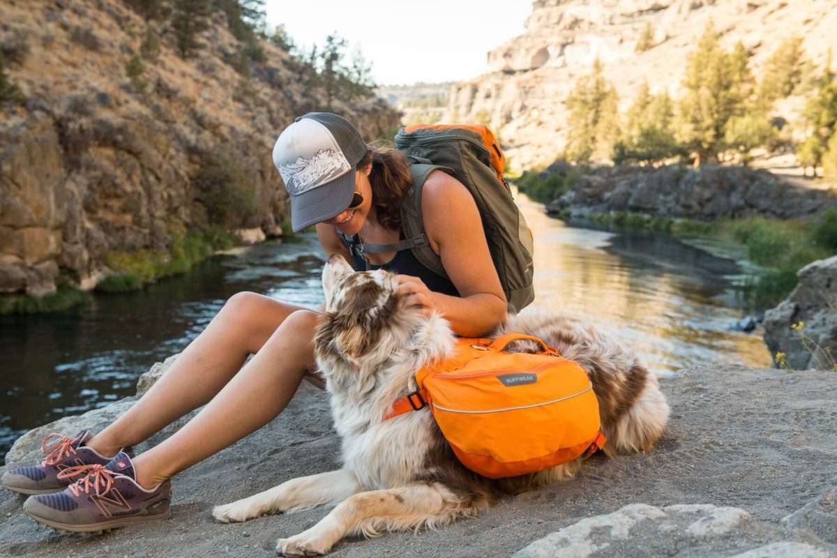 Ruffwear Approach Dog Pack