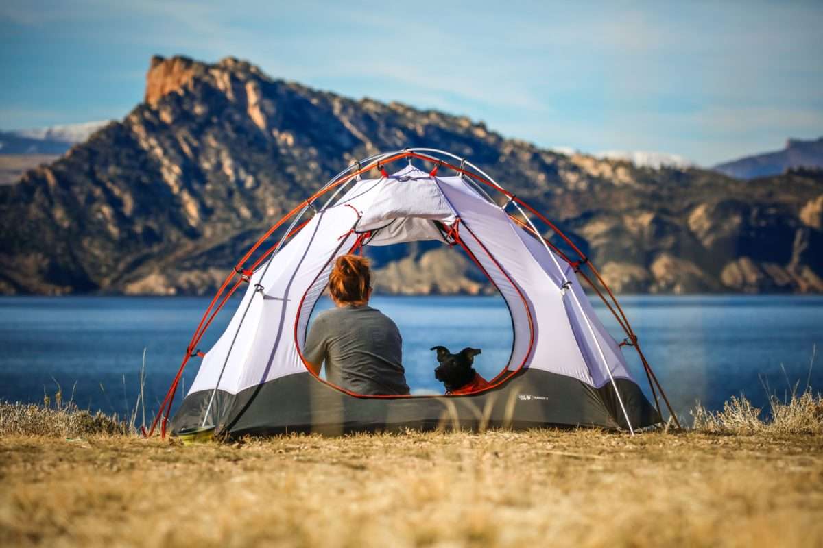 Gear for Dogs That Love Hiking, Camping & Travel 12 Camping with a Dog. Outdoor gear for dogs