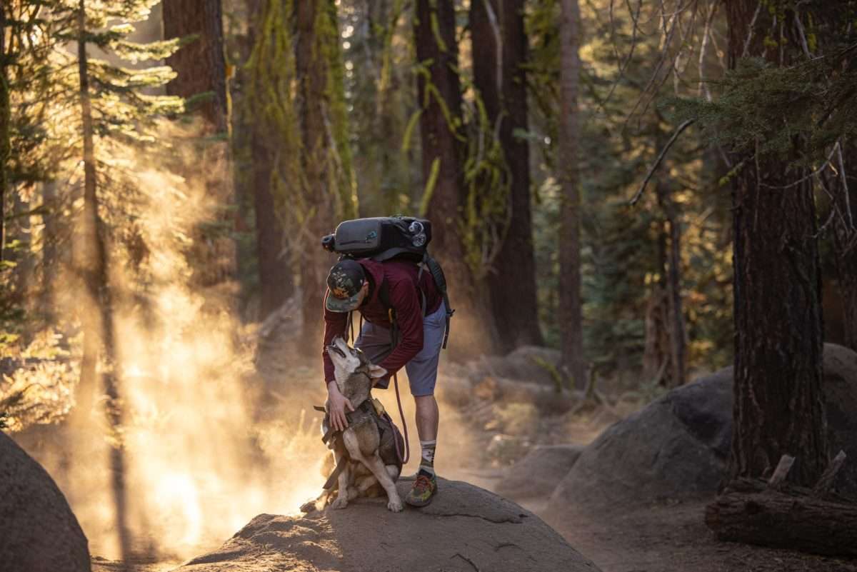 Gear for Dogs That Love Hiking, Camping & Travel 1 Hiking with a Dog