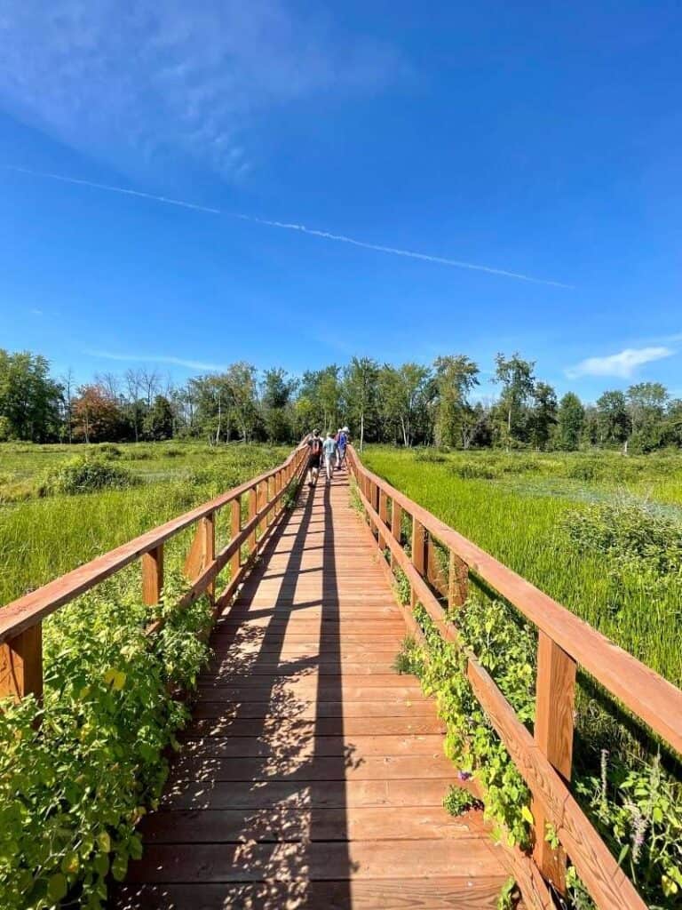 Quebec's Explorer's Route: An Adventurous Canadian Road Trip 20 Walking across wetlands.