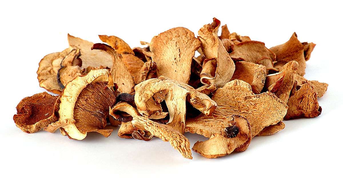 Dehydrated Food for Backpackers, A Long Term Storage Primer 2 Dehydrated Food for Backpackers mushrooms