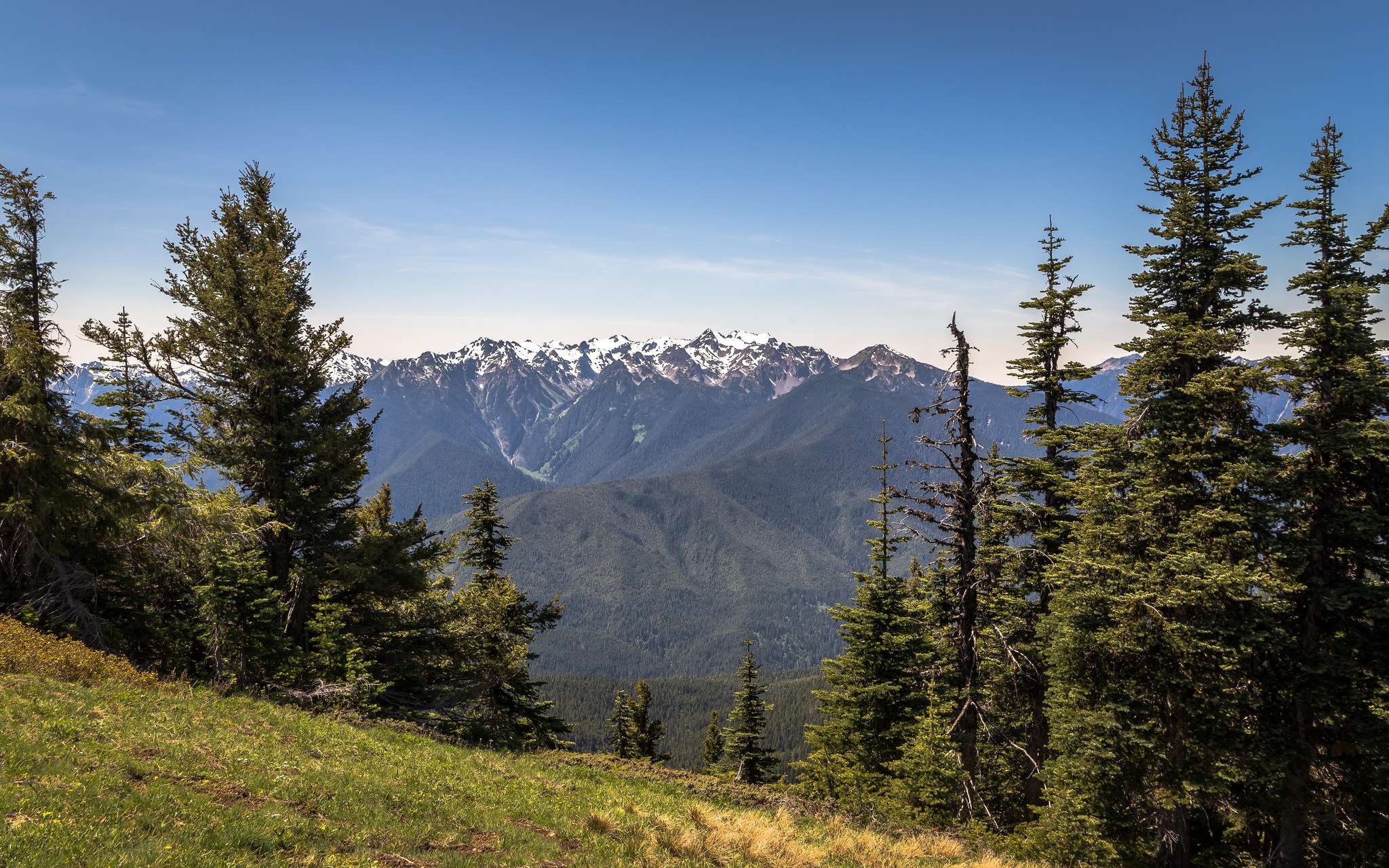 6 Long Distance Trails Backpackers Will Love 1 pacific northwest trail Long Trails Backpackers Will Love