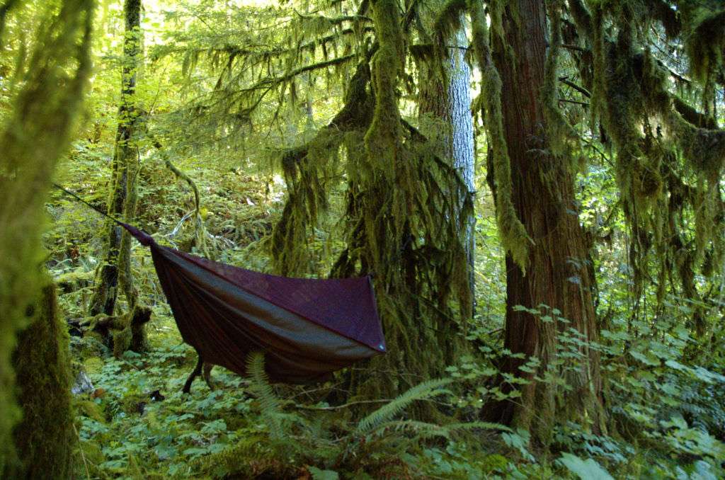 How to Bug Proof Your Hammock by Serac Hammocks 2 how to bug proof your hammock featured