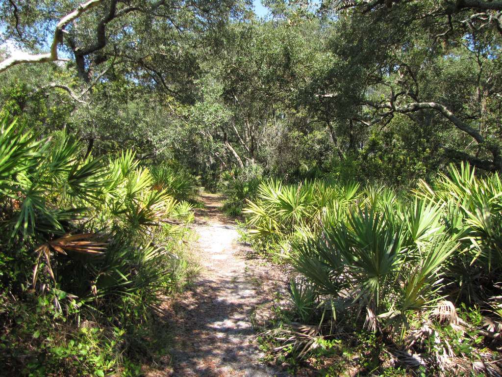 6 Long Distance Trails Backpackers Will Love 5 long hikes backpackers will love florida trail