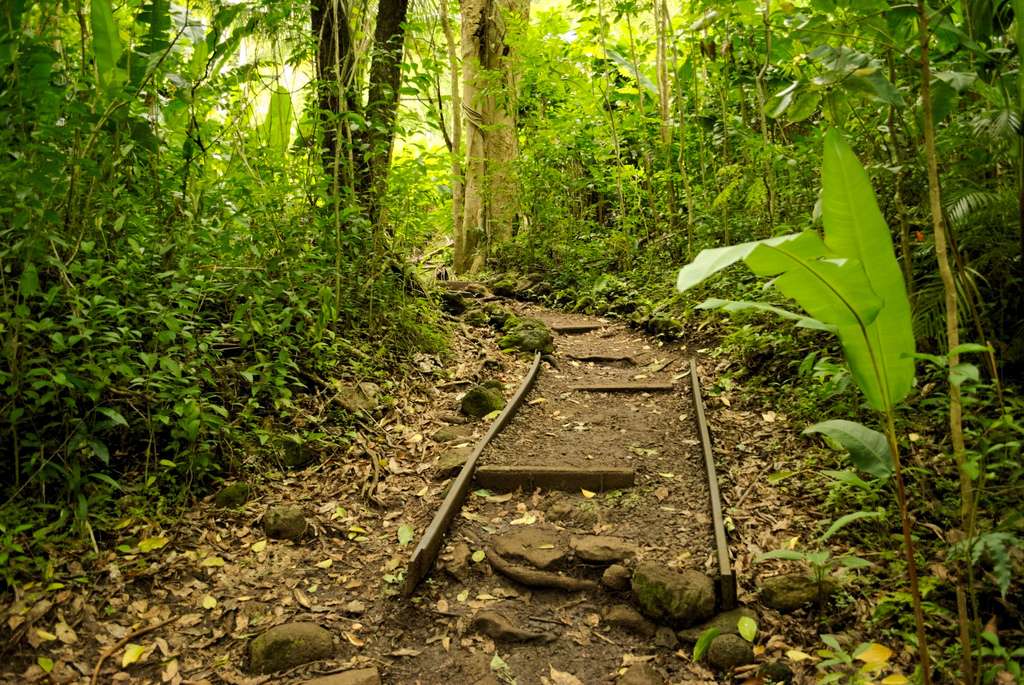 How to Maintain a Trail in 11 Steps: DIY Stewardship Guide 2 how to maintain a trail community highlight flickr dams