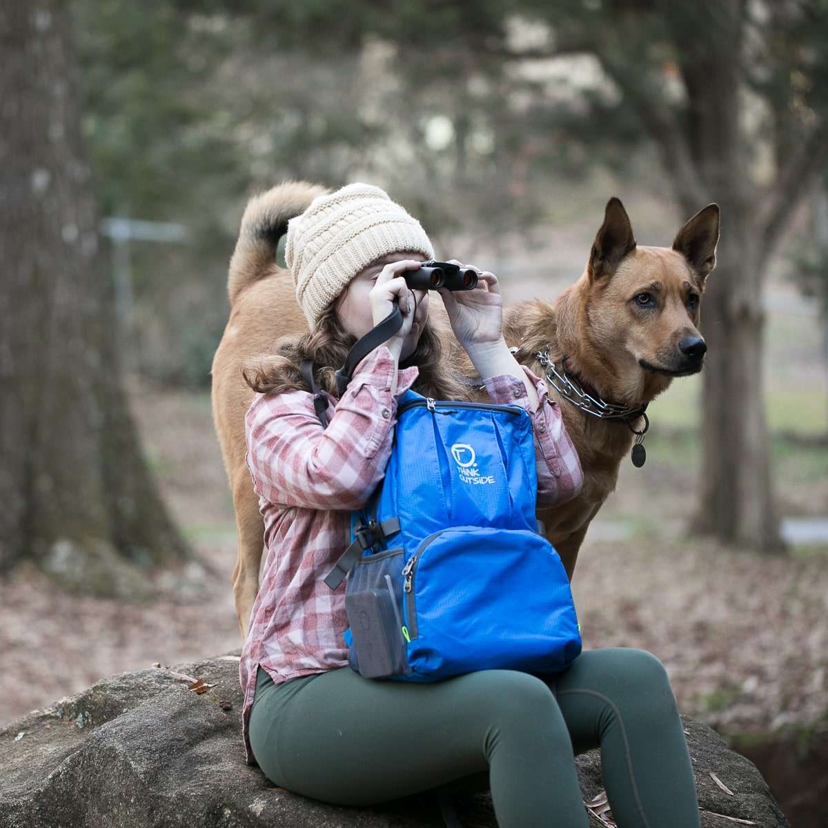 How to Road Trip with Pets and Gear that Will Make the Trip Better 2 Road Tripping With Dogs