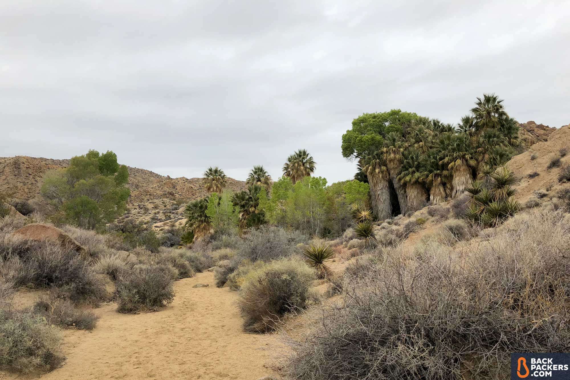Havasupai Falls Hike Guide: Permits, Prep & Trail Info 3 Havasupai Falls Hike in Arizona Joshua Tree