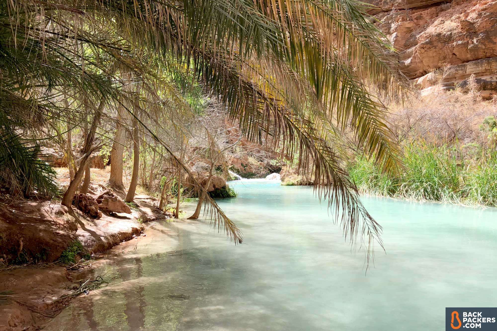 Havasupai Falls Hike Guide: Permits, Prep & Trail Info 9 Havasupai Falls Hike in ArizonaPalm Tree Havasu