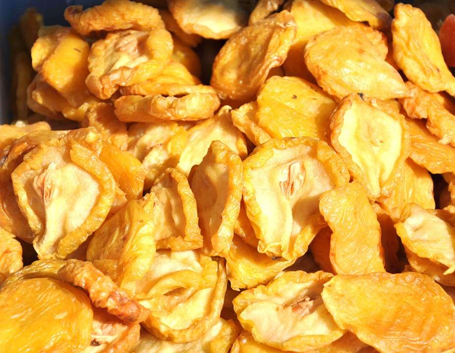 Dehydrated Food for Backpackers, A Long Term Storage Primer 1 Dehydrated Food for Backpackers dehydrating fruit