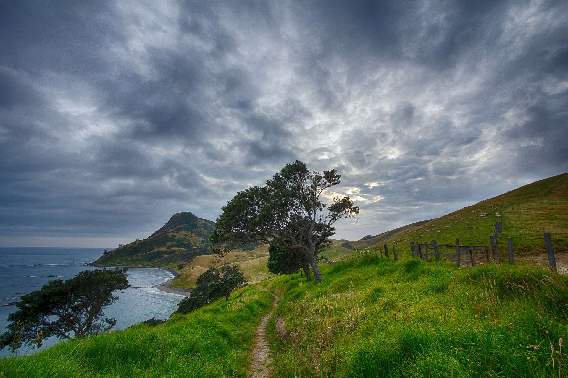 How to Maintain a Trail in 11 Steps: DIY Stewardship Guide 3 how to maintain a trail community highlight new zealand