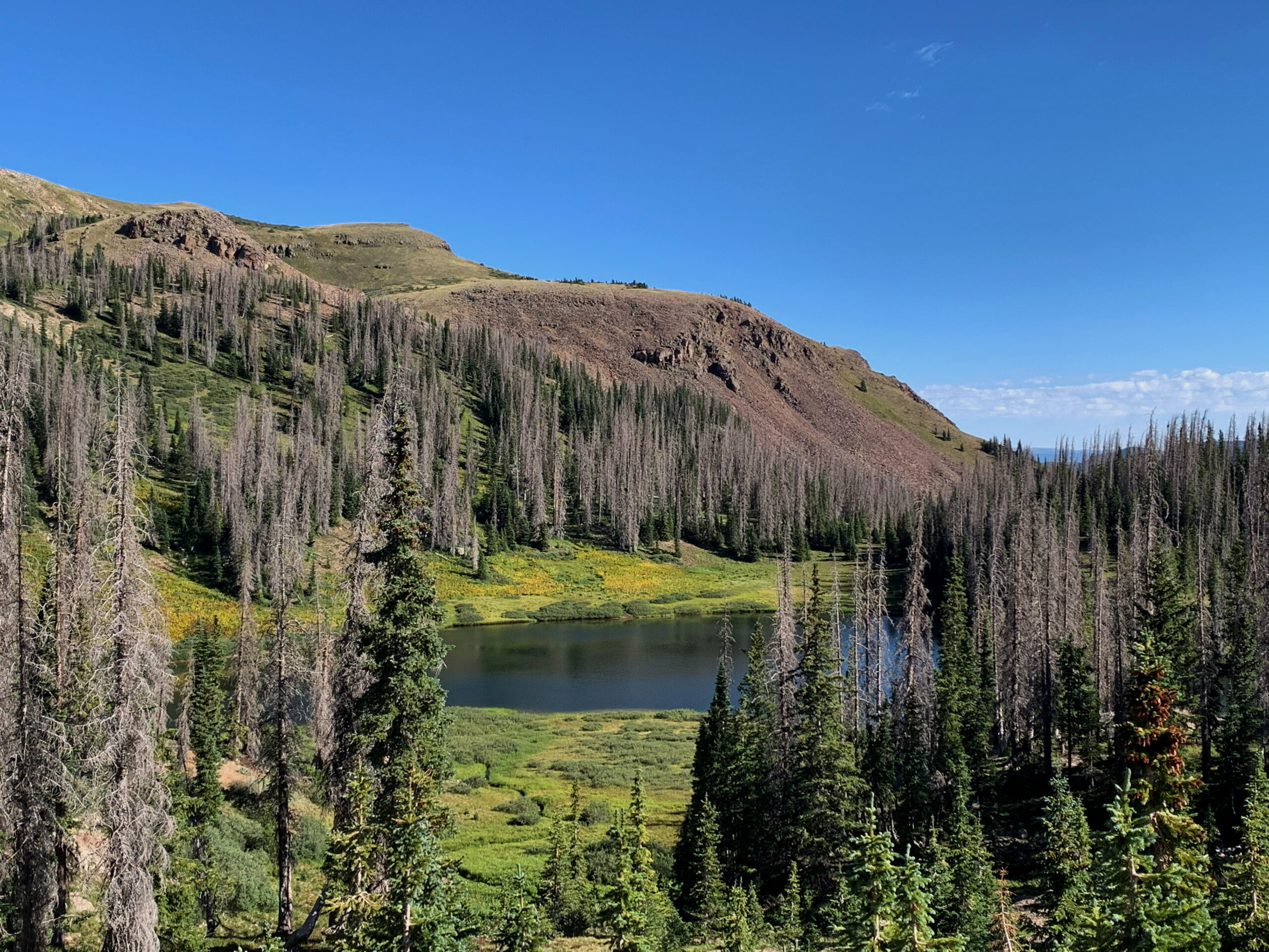 Solo Backpacking in the South San Juan Mountains 10 Enlight16900 scaled