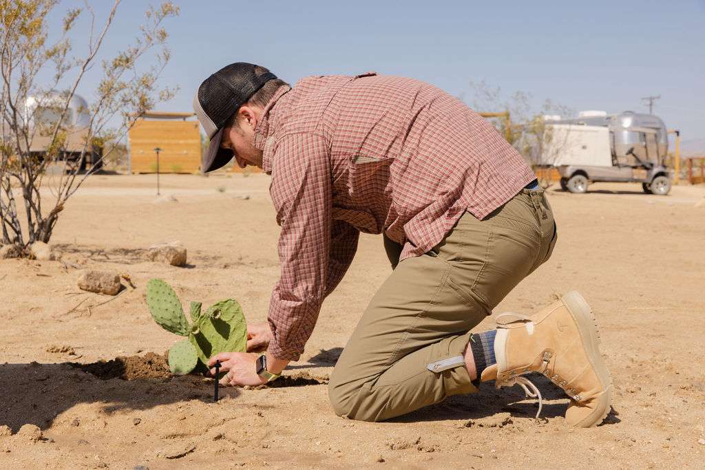 Erem Xerocole Expedition Desert Hiking Boot Review 4 Planting Cactus Pear with Erem