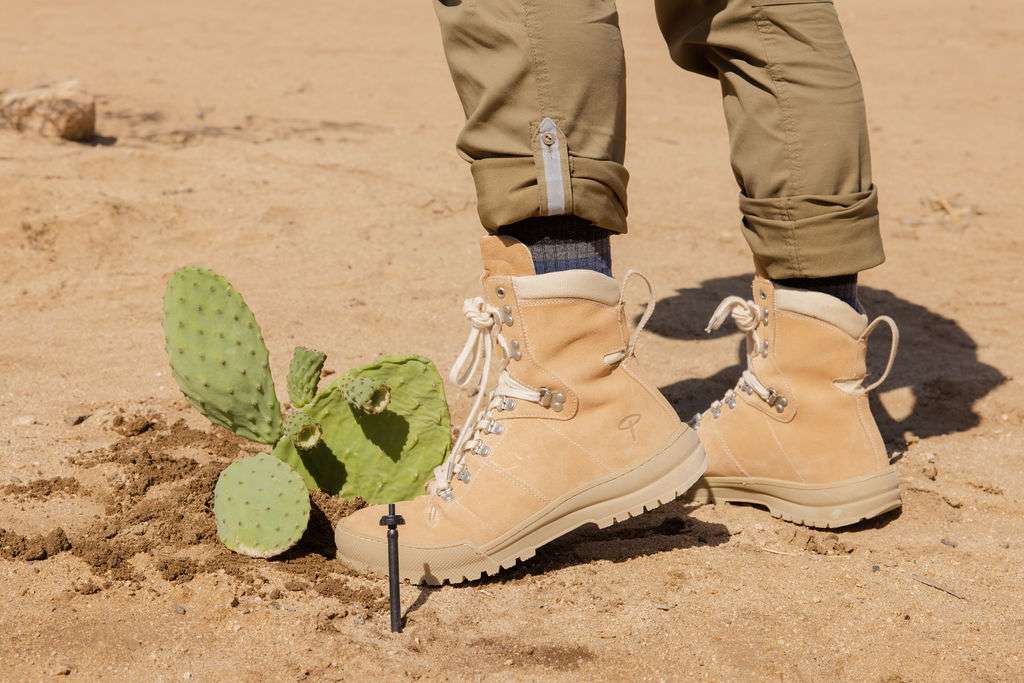 Erem Xerocole Expedition Desert Hiking Boot Review 10 Erem Prickly Pear