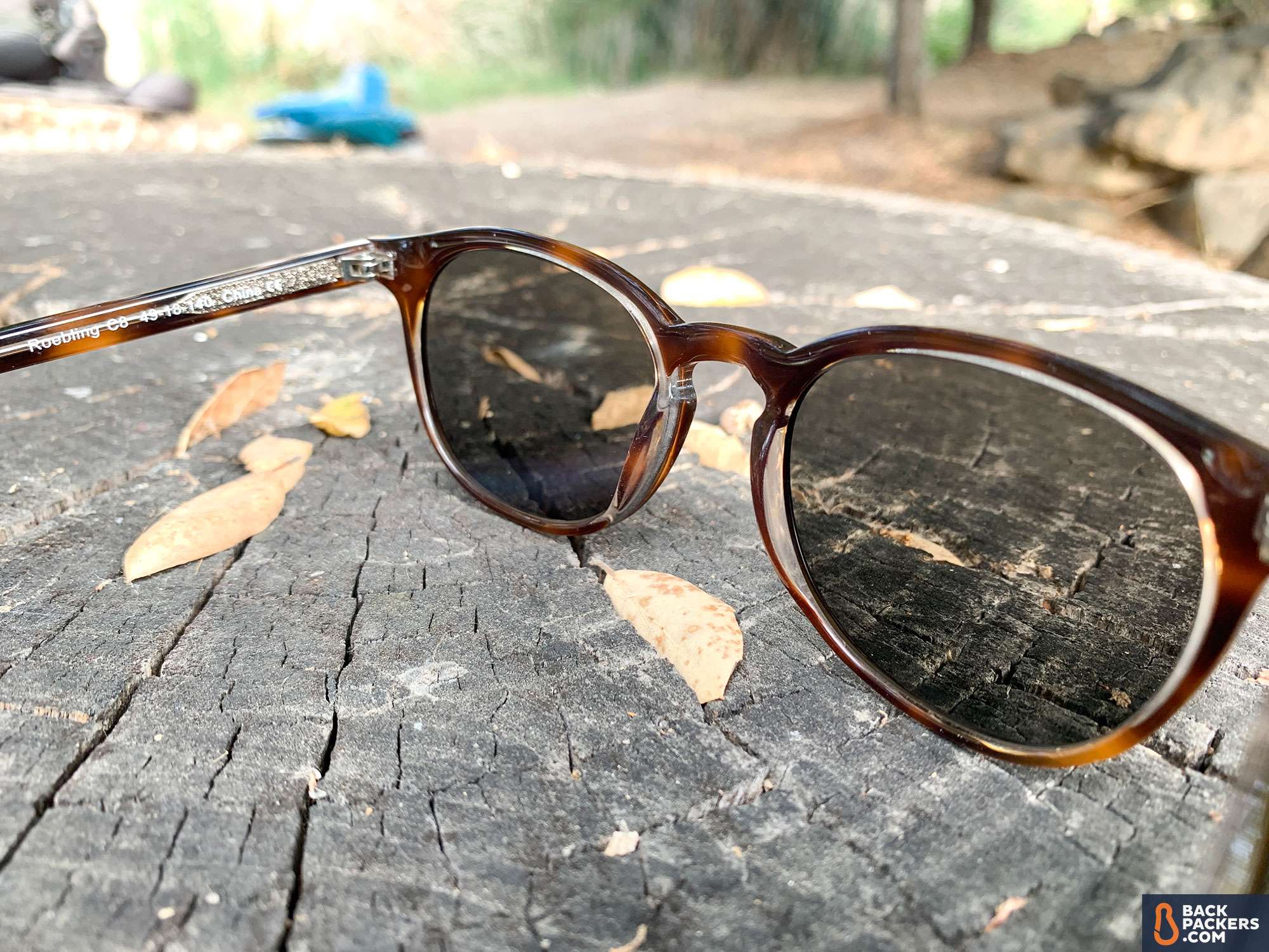 Felix Gray Roebling Sunglasses Review 4 Felix-Gray-Roebling-Review-on-stump-nose-pads