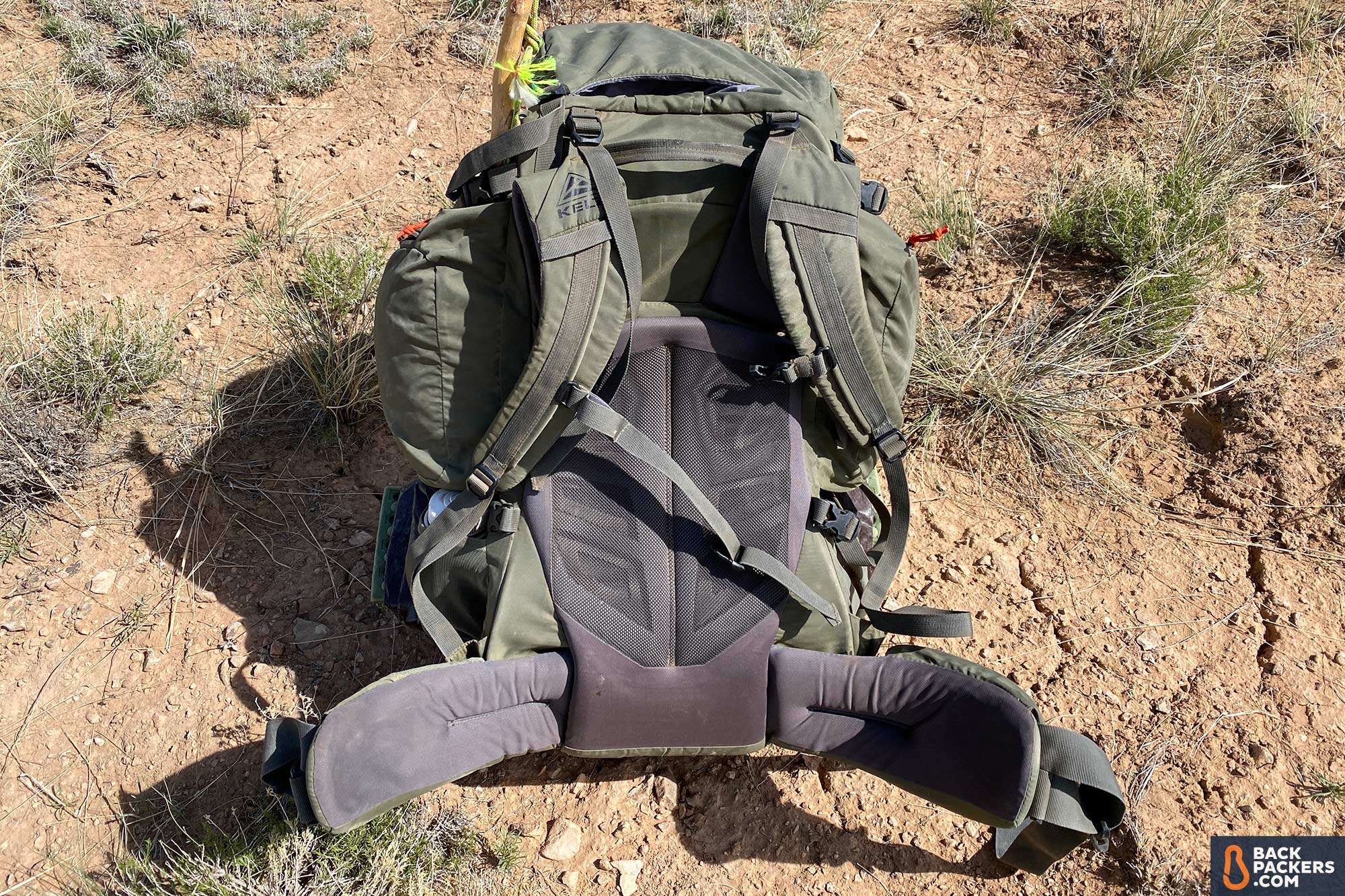Kelty Coyote 85 Review: The Beast of Budget Backpacks 6 Kelty-Coyote-85-back-panel