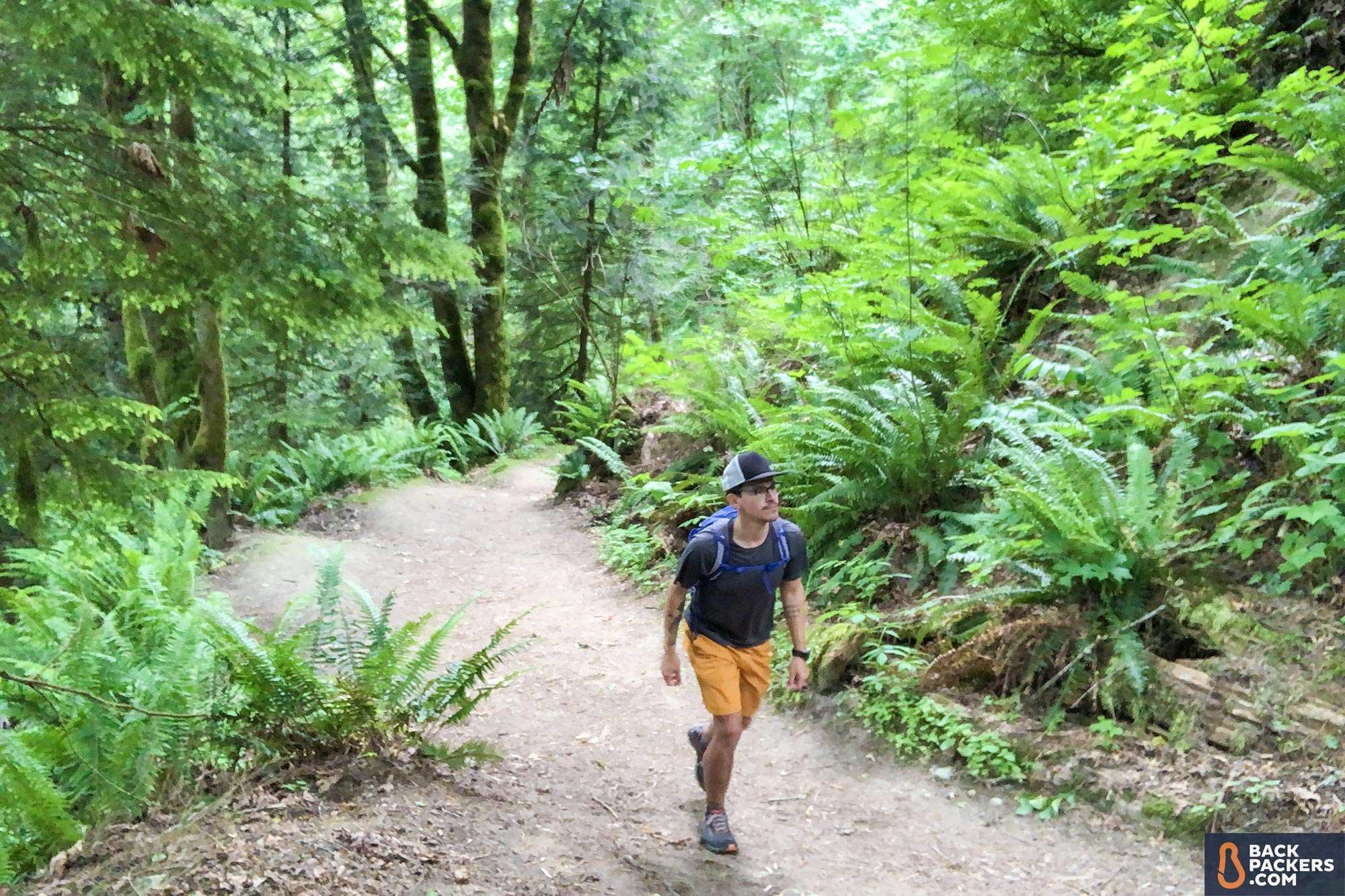REI Flash 22 Backpack Review 13 hiking-on-trail-in-ferns-and-trees