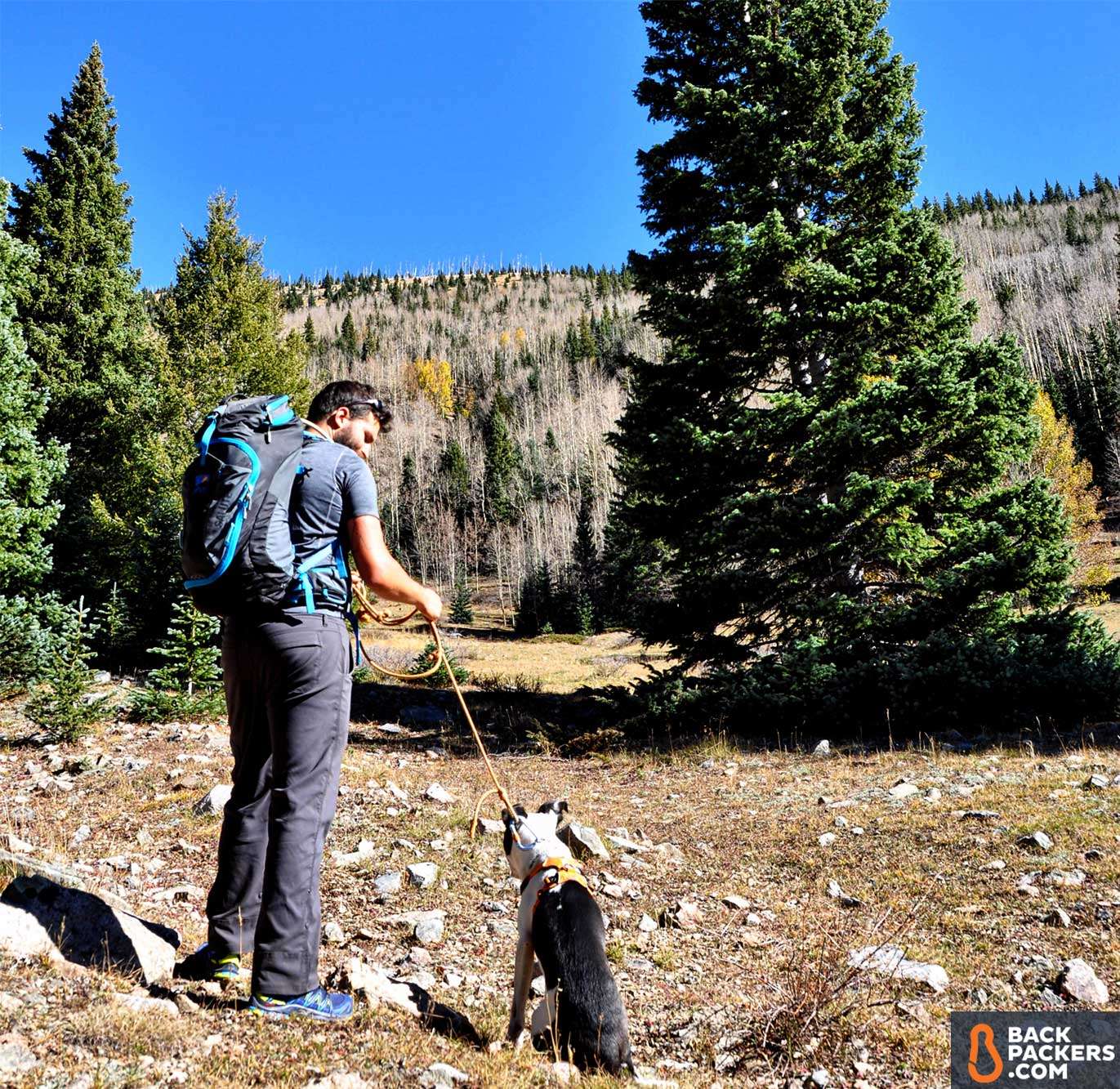Salomon XA Pro 3D Review 8 Salomon-XA-Pro-3D-review-hike-with-the-dog