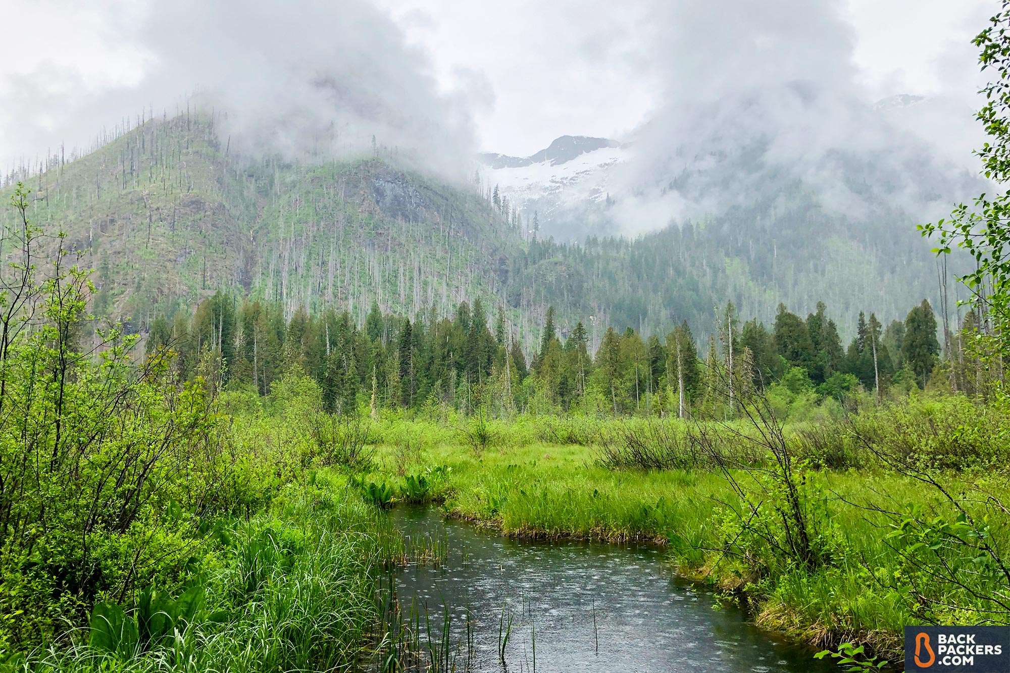 Sea to Summit Aeros Pillow Review 3 Sea-to-Summit-Aeros-Pillow-Premium-review-fog-in-forest