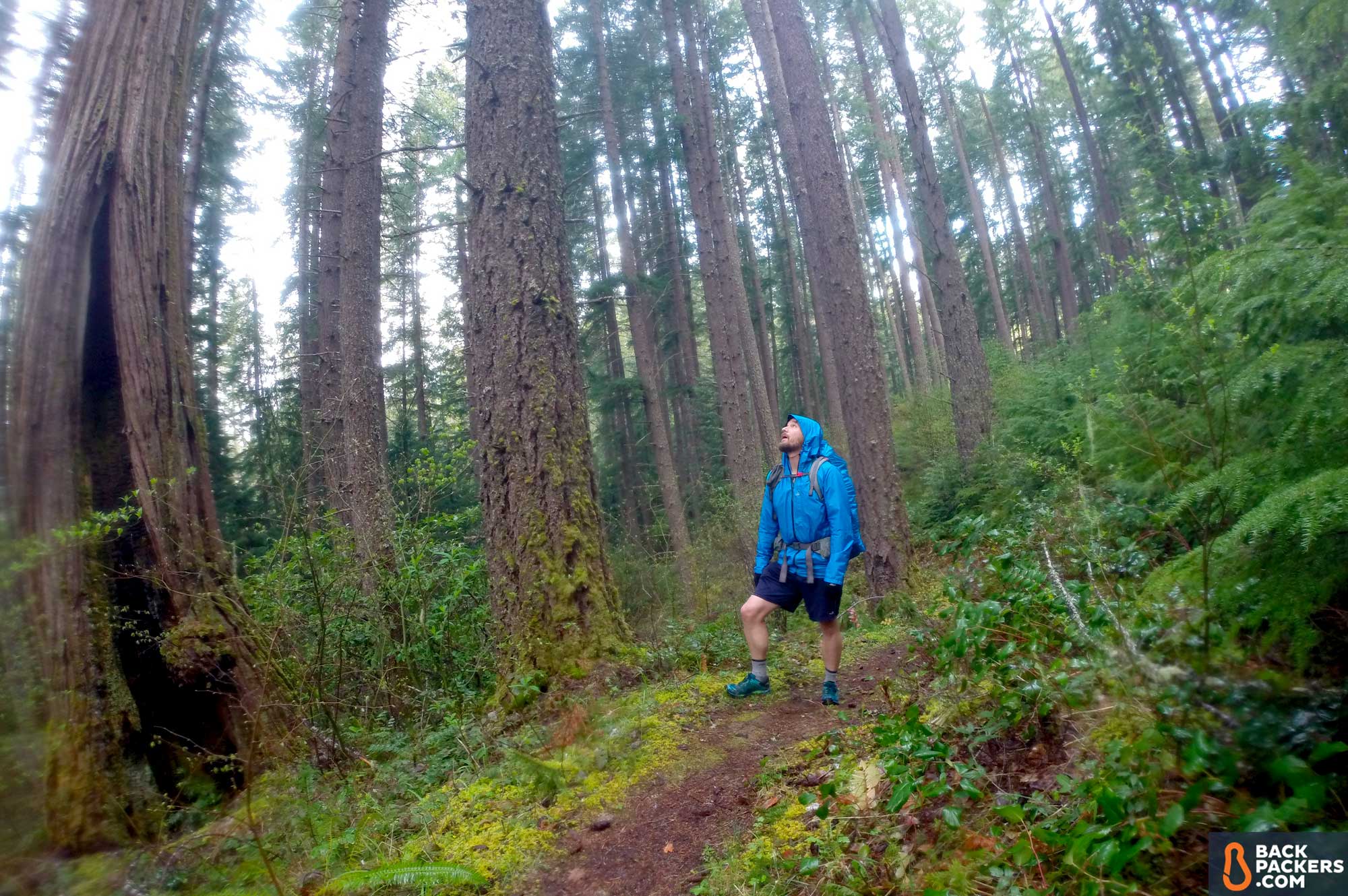 Zpacks-Vertice-review-hiking-in-the-woods