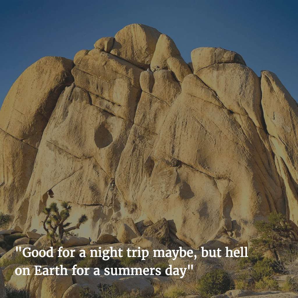 joshua-tree One-Star Yelp Reviews of National Parks