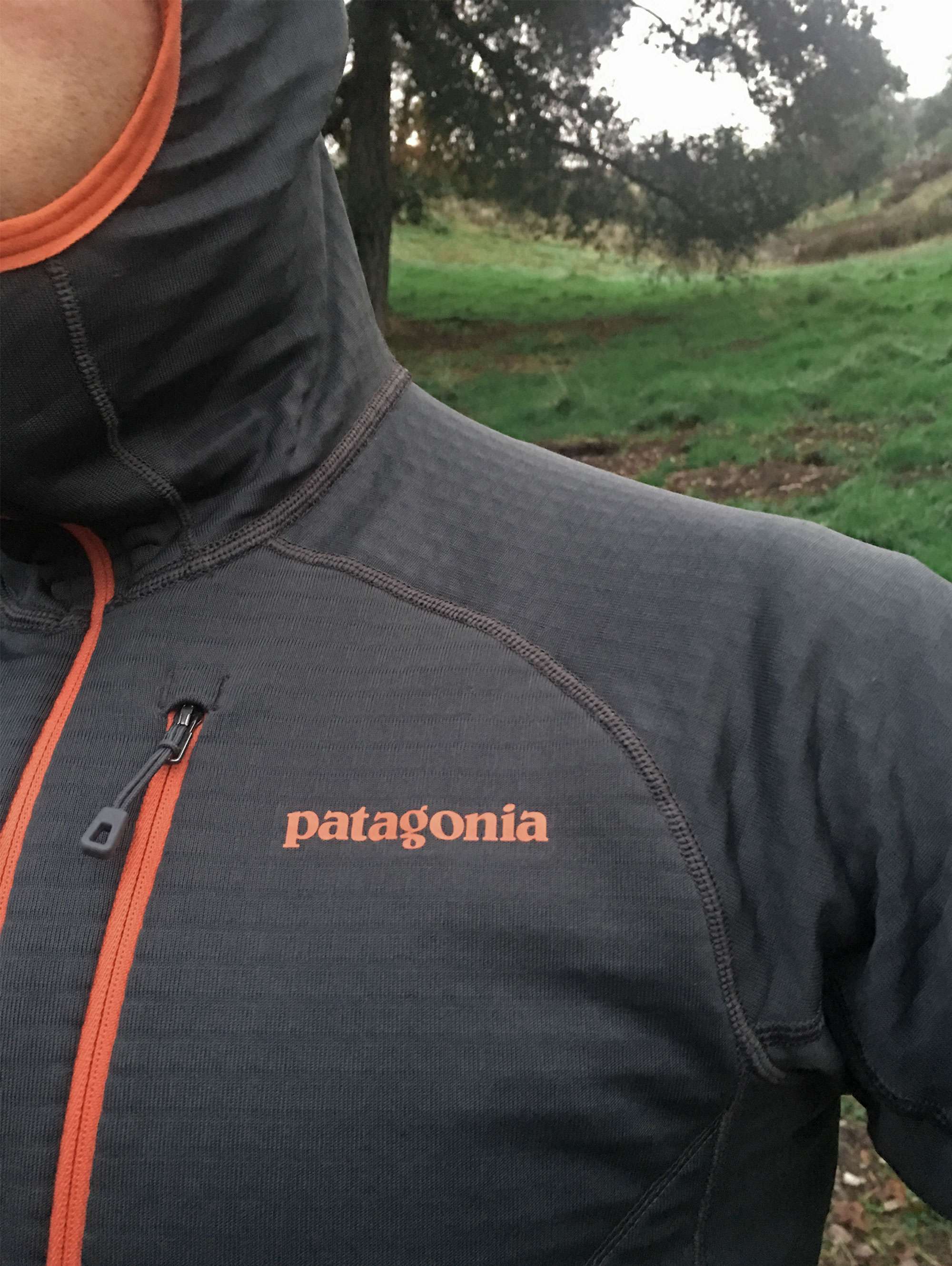 patagonia r1 hoody chest-zip