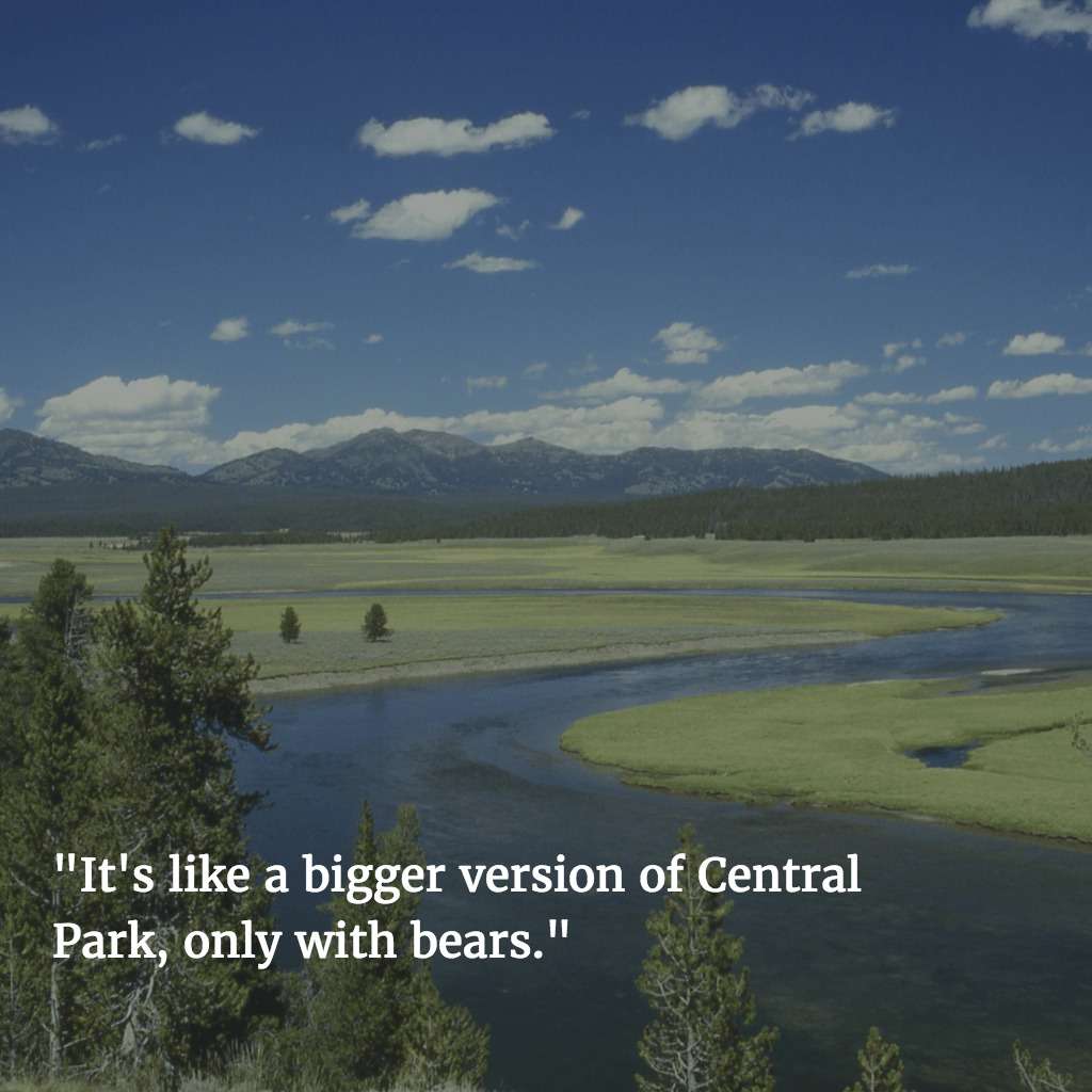 yellowstone One-Star Yelp Reviews of National Parks