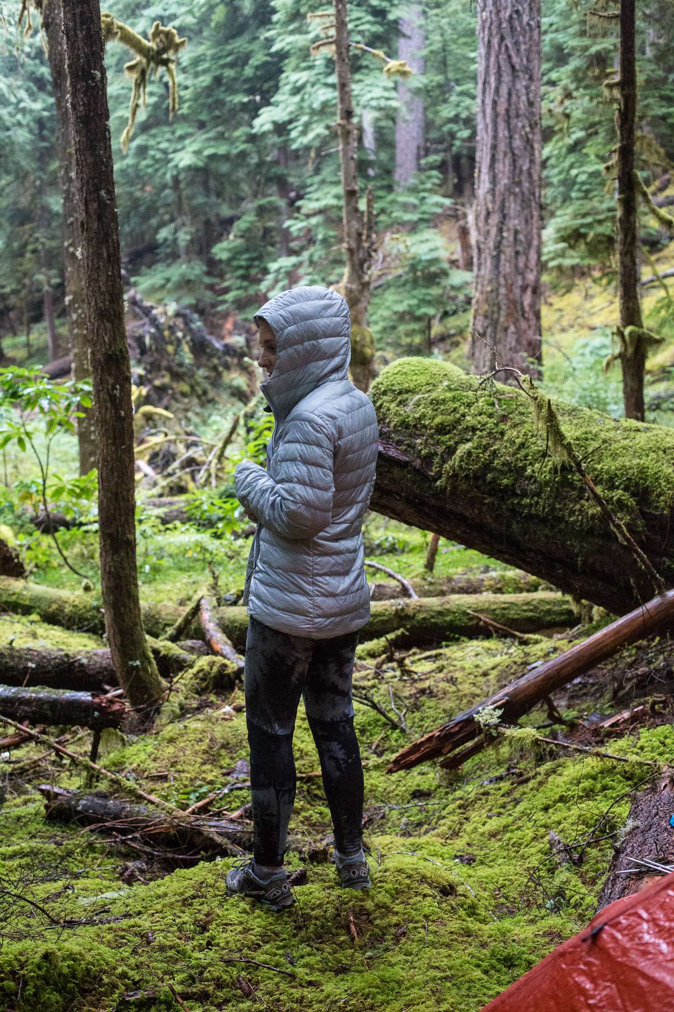 REI Down Jacket 650 Review 1 rei-co-op-down-hoody-behind
